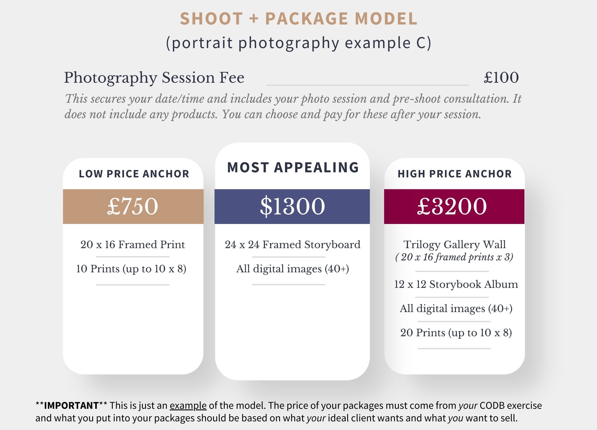 3rd example of a shoot + package pricing model for portrait photographers